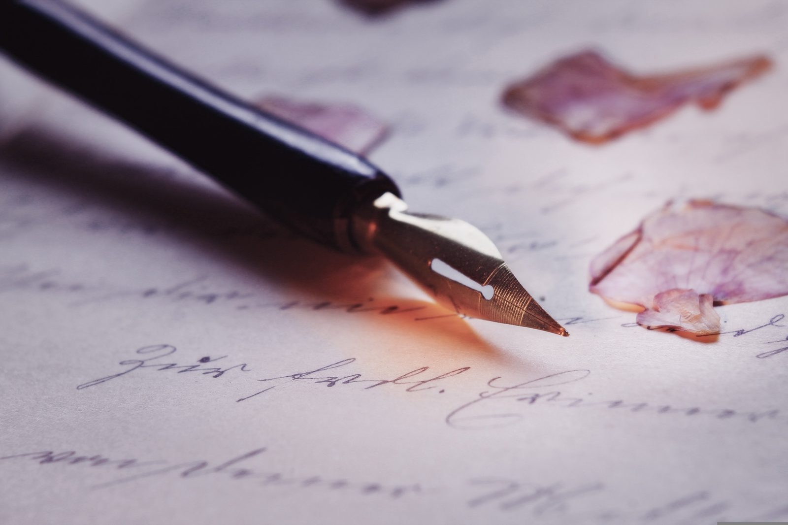 Master Calligraphy - Fountain Pen Writing
